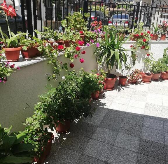 پانسیون Milchevi Guesthouse