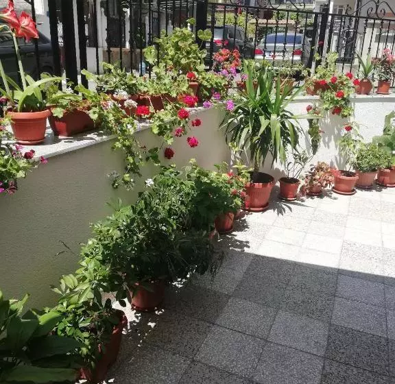ペンション Milchevi Guesthouse