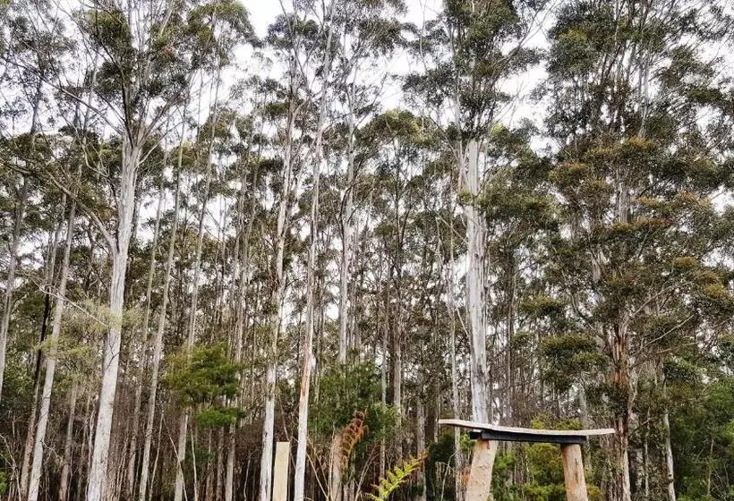 Majatalo Mudstone Suites