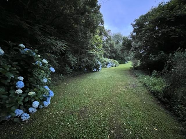 פנסיון Westfield Farm