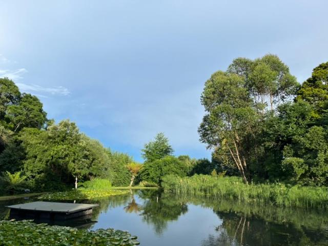 פנסיון Westfield Farm