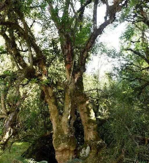 Majatalo Westfield Farm