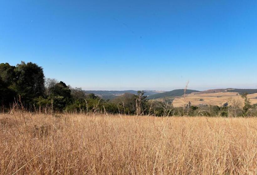 פנסיון Westfield Farm