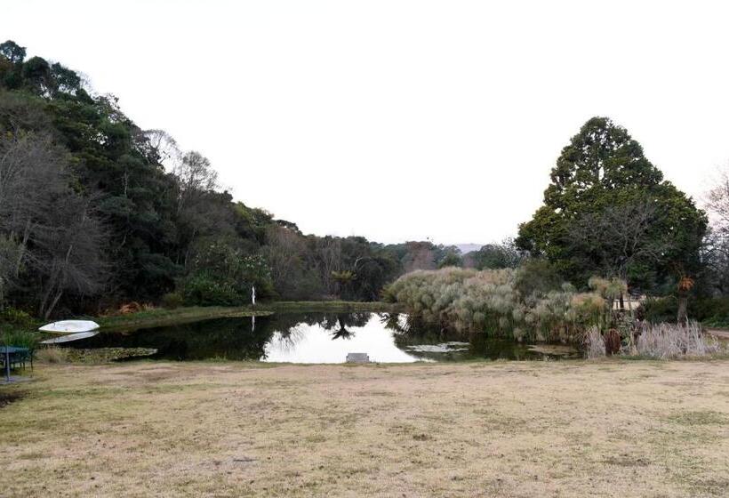 פנסיון Westfield Farm