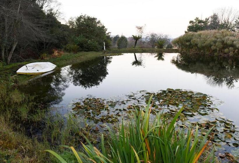 פנסיון Westfield Farm