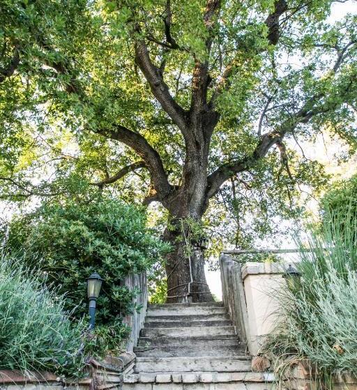 צימר Agriturismo Col Morino