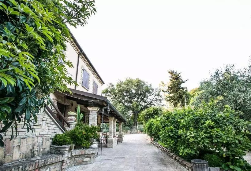 ベッドアンドブレックファースト Agriturismo Col Morino