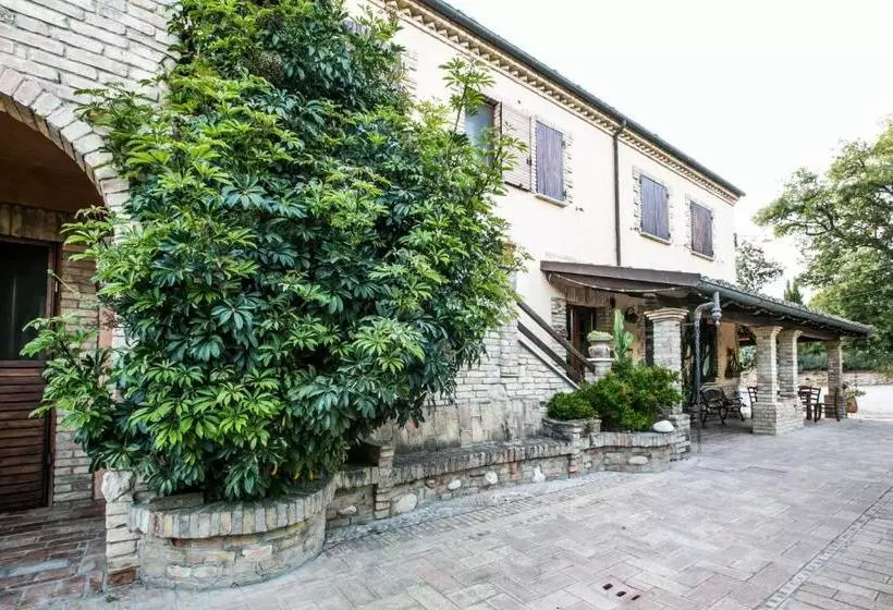 ベッドアンドブレックファースト Agriturismo Col Morino