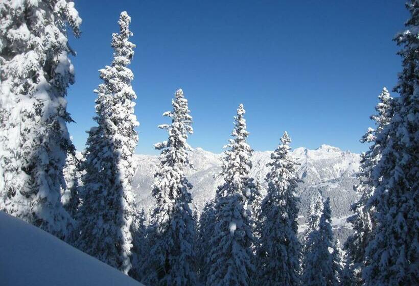 مبيت وإفطار Chesa Platina