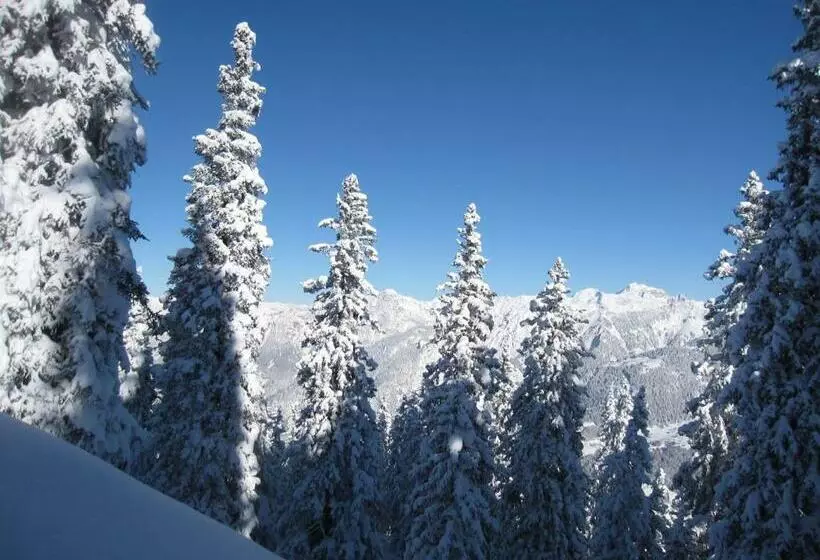 تختخواب و صبحانه Chesa Platina