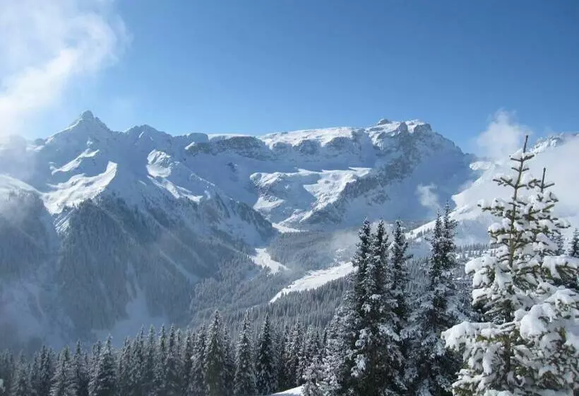 تختخواب و صبحانه Chesa Platina