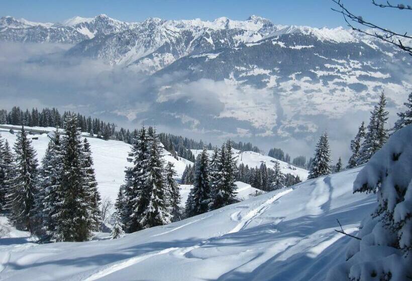 مبيت وإفطار Chesa Platina