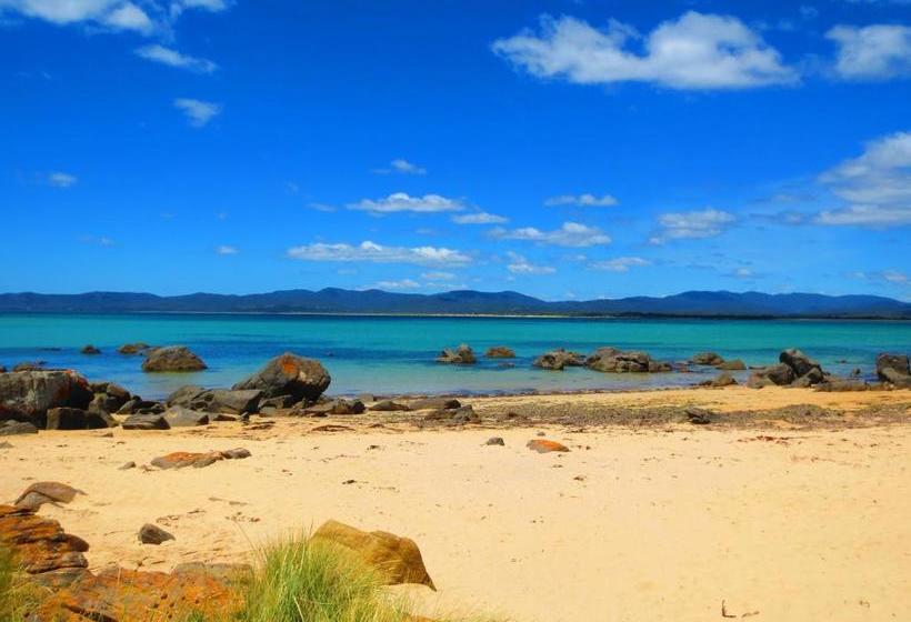 ベッドアンドブレックファースト Roosters Rest