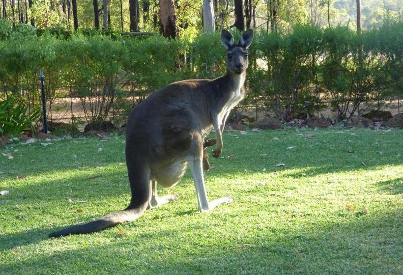 Country Charm Retreat B&b