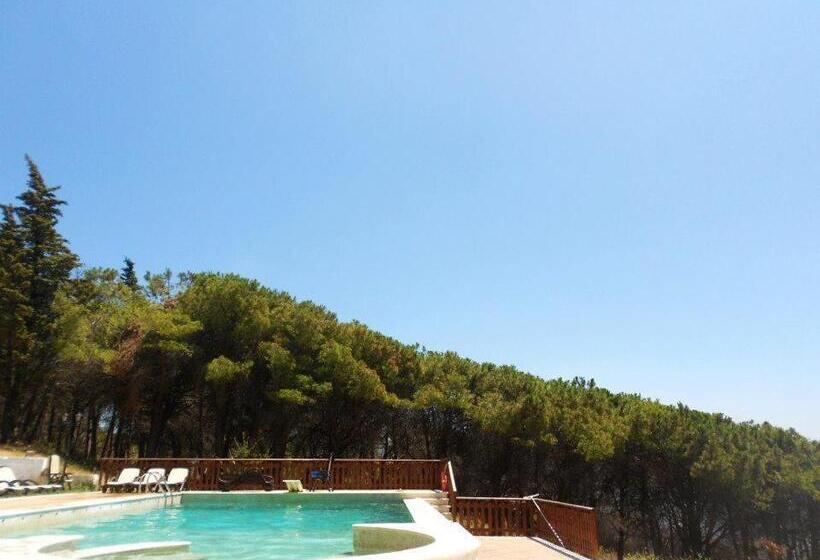 호텔 Agriturismo Collecammino