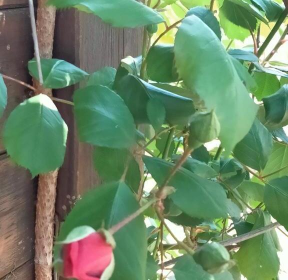 בית מלון כפרי B&b L`oasi