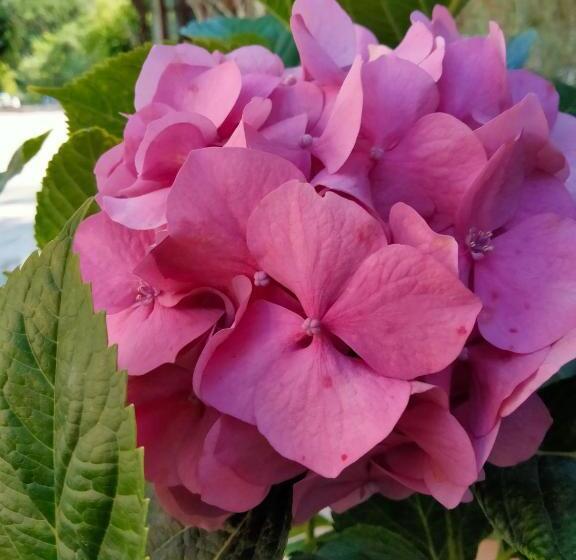 בית מלון כפרי B&b L`oasi