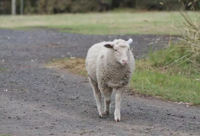 Hotelli Bimbadeen Phillip Island Farm Retreats