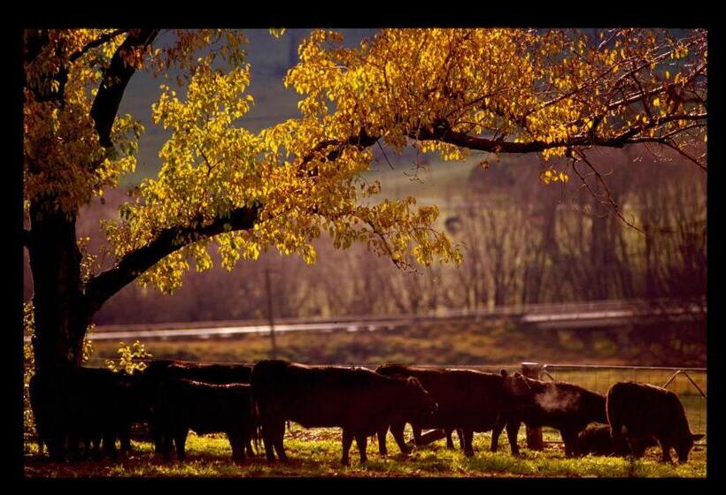 민박 Black Sheep Inn