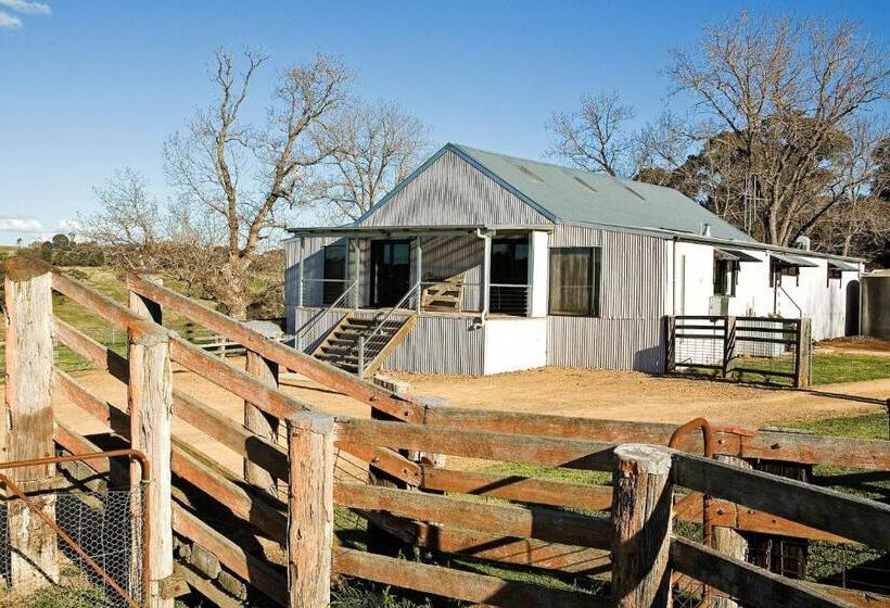 민박 Black Sheep Inn