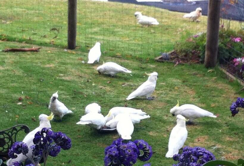 住宿加早餐  Sea Salt Bnb