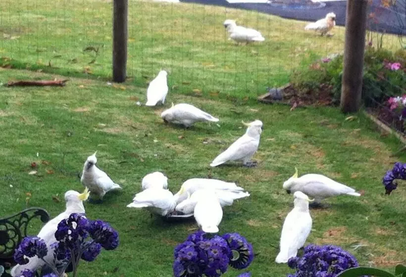 Aamiaismajoitus (B&B) Sea Salt Bnb