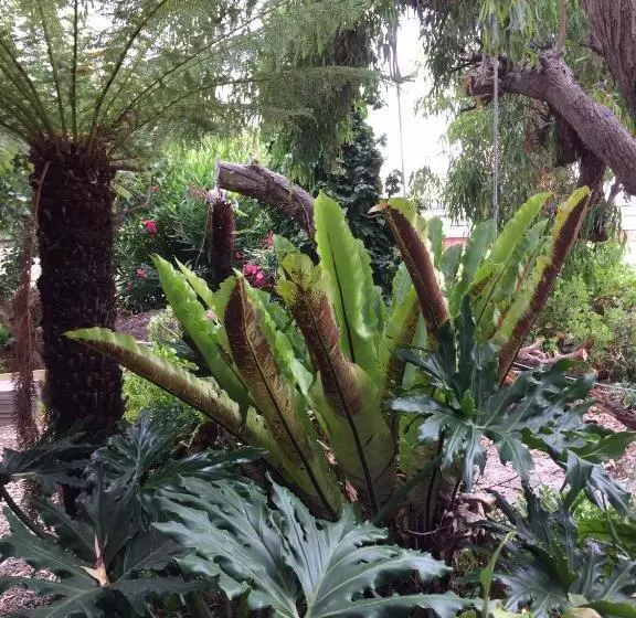 Aamiaismajoitus (B&B) Sea Salt Bnb