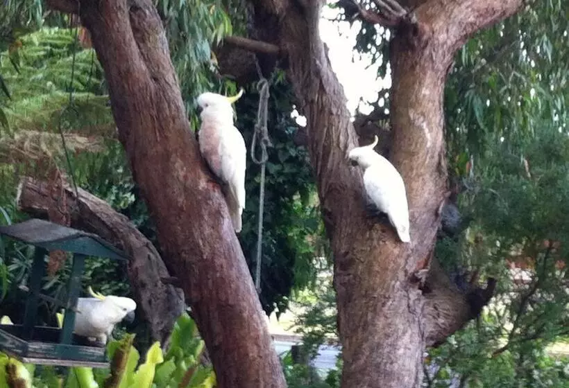 Aamiaismajoitus (B&B) Sea Salt Bnb