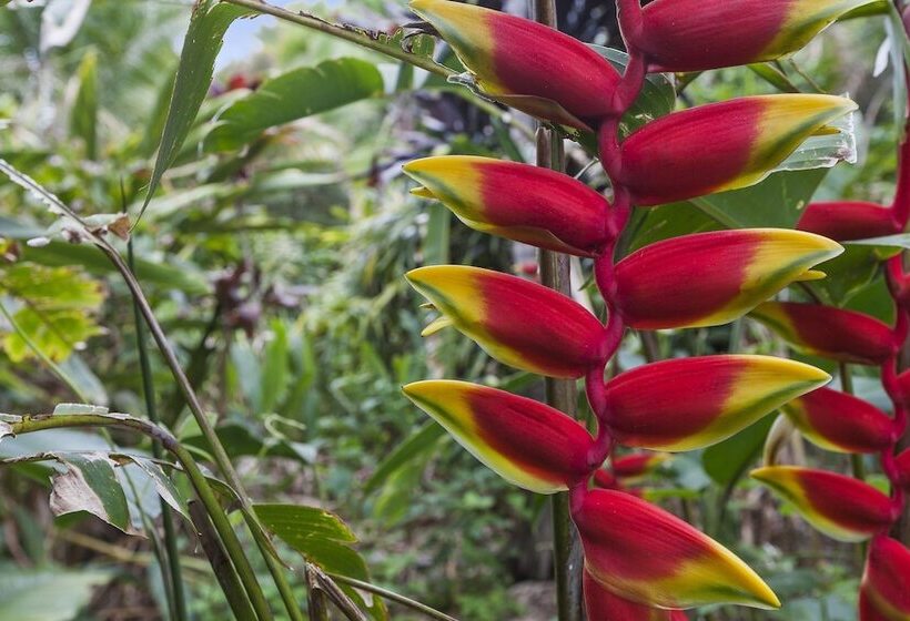 Bed and Breakfast The Country House At Hunchy Montville
