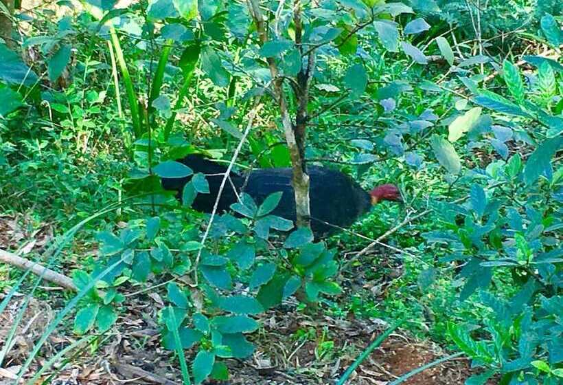 Bed and Breakfast The Country House At Hunchy Montville