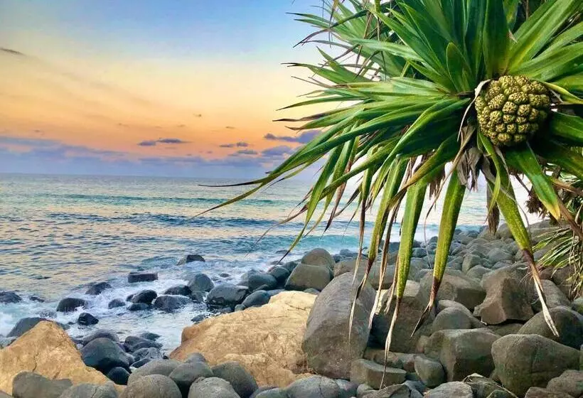 Hideaway Noosa Men Only Beach Resort