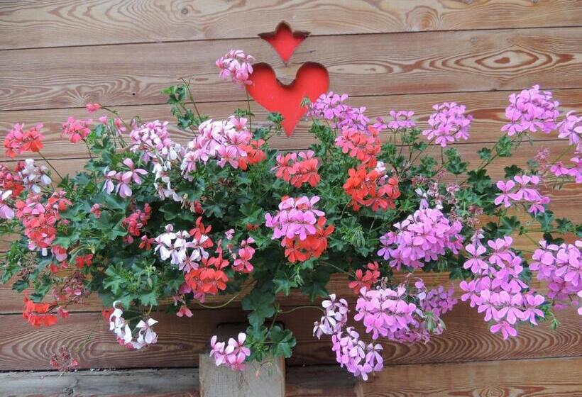 فندق Albergo Al Fontanin