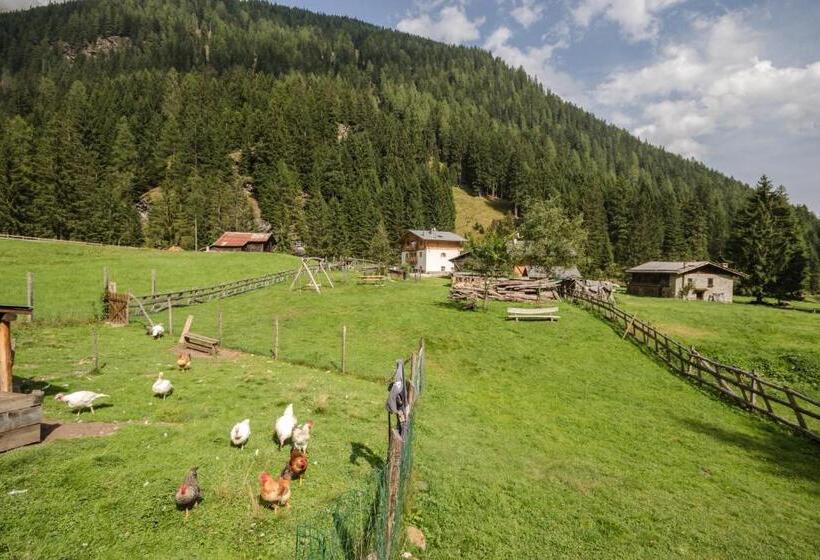 فندق Albergo Al Fontanin