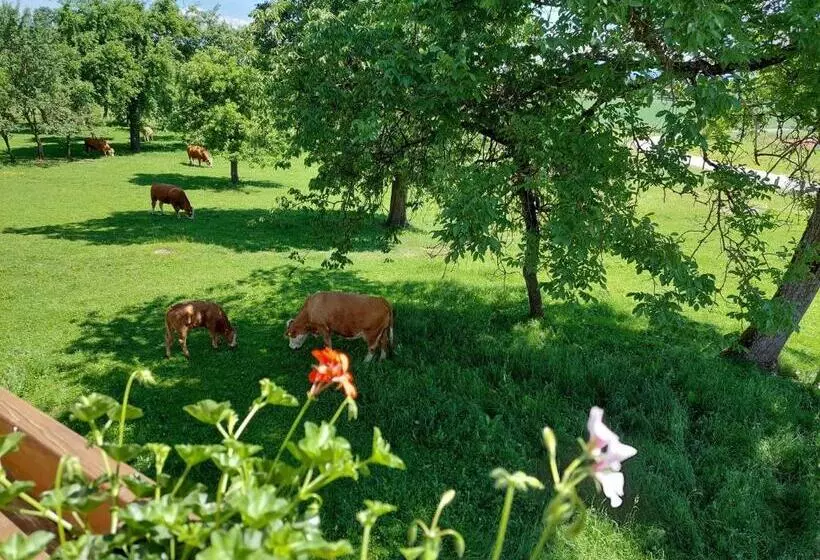 ホテル Bauernhof Pension Hofmayer
