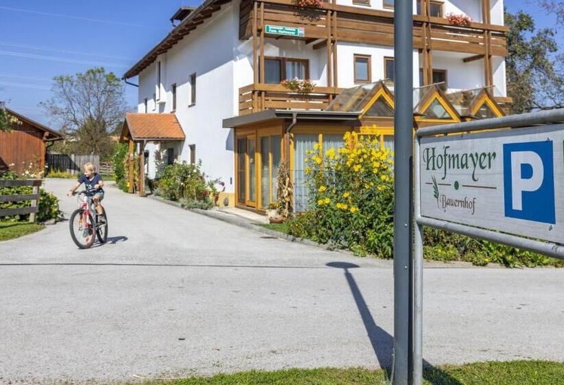 Отель Bauernhof Pension Hofmayer