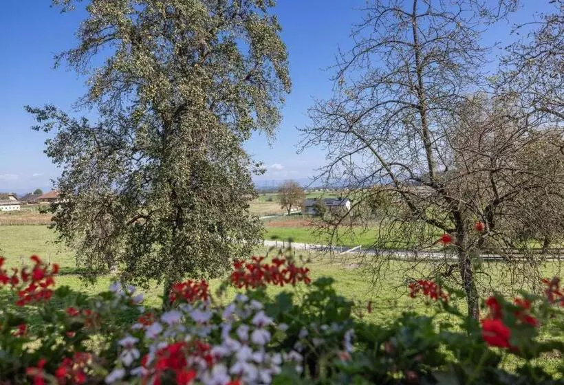 ホテル Bauernhof Pension Hofmayer