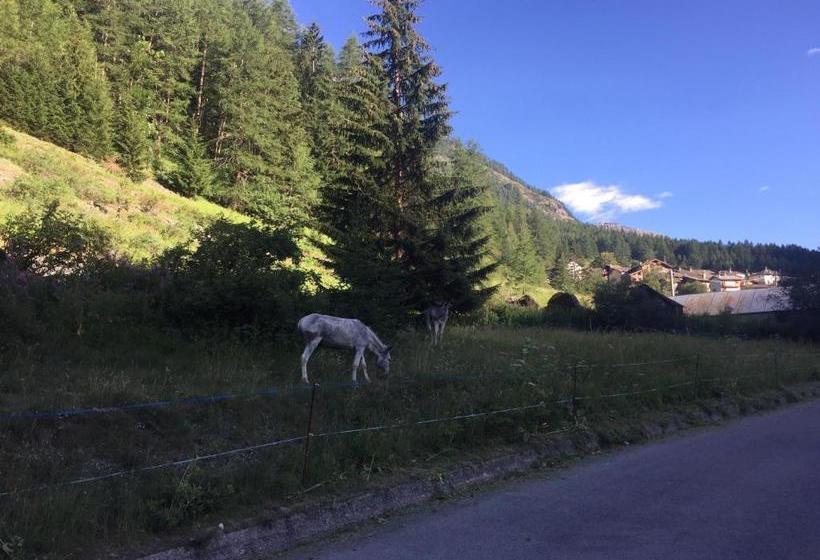 Отель Camping Grivola