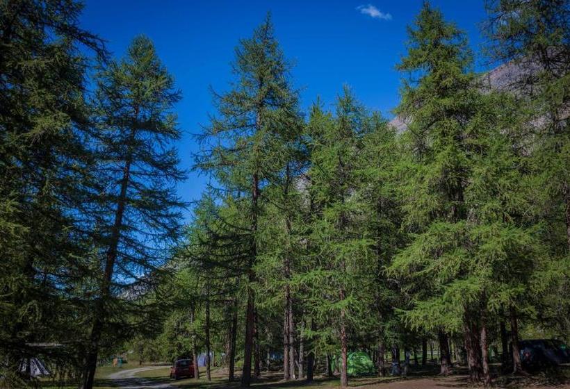 Отель Camping Grivola