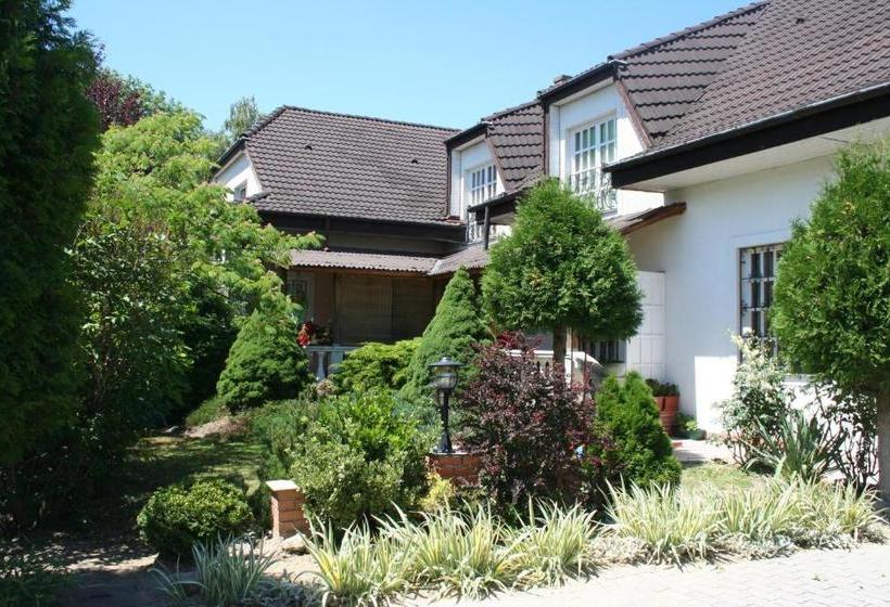 بنسيون Leander Vendeghaz