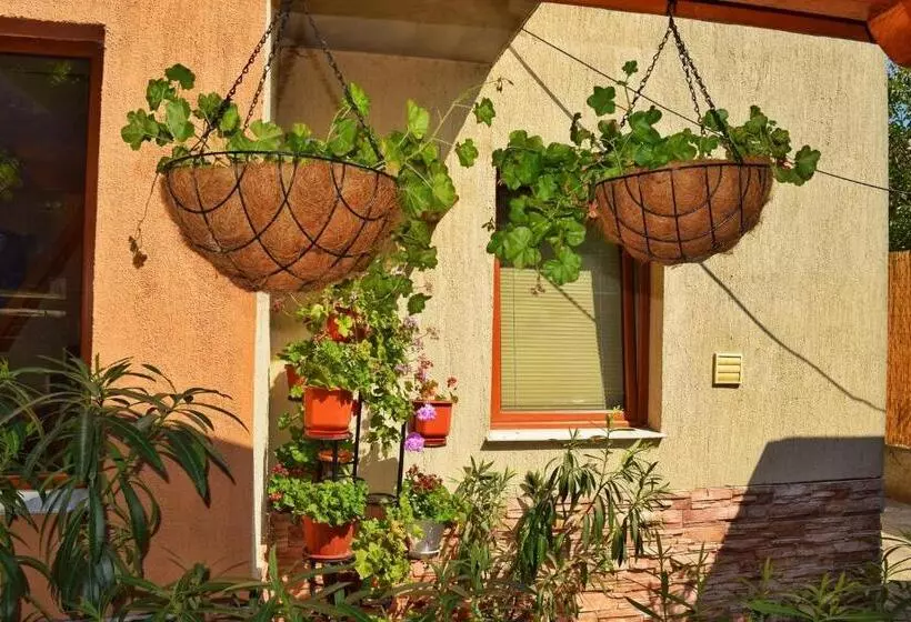ペンション Tatyana Guest House