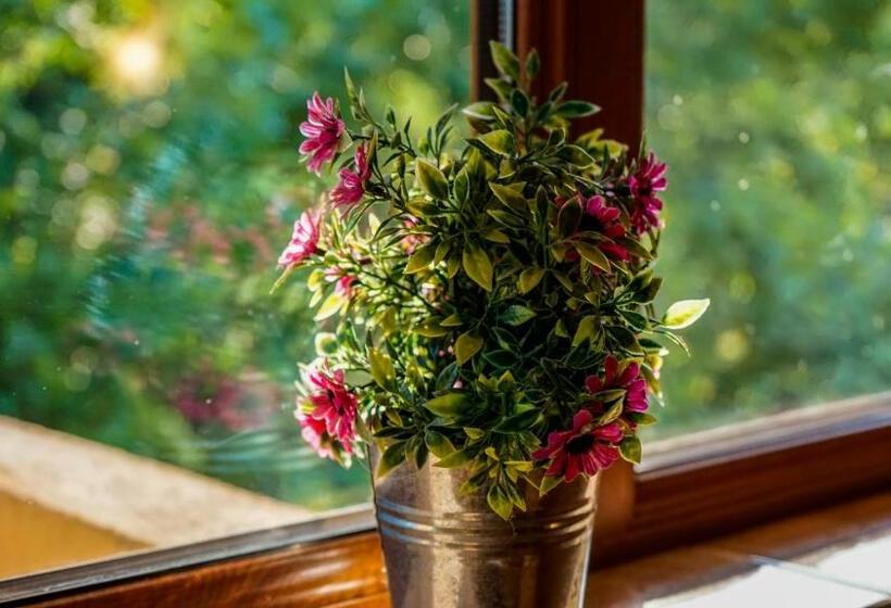 膳宿费 Tatyana Guest House