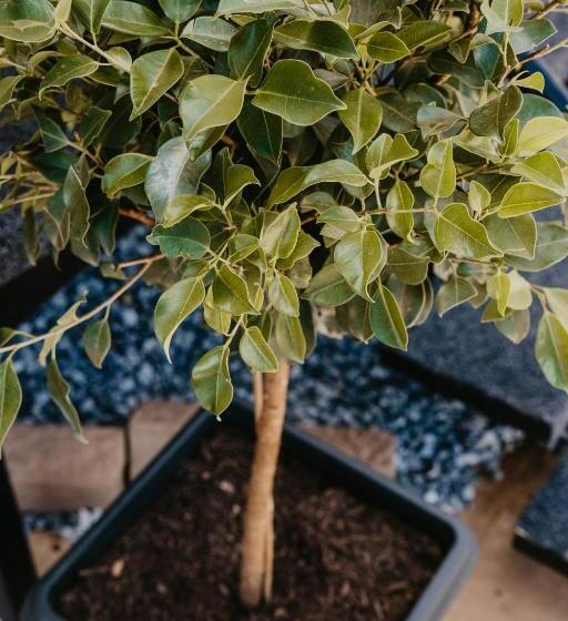 Winton Outback Motel