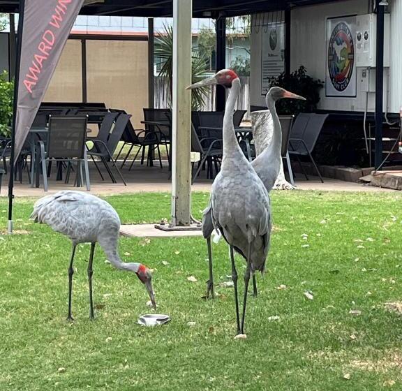 Winton Outback Motel