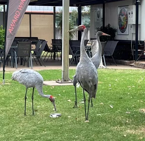 Winton Outback Motel