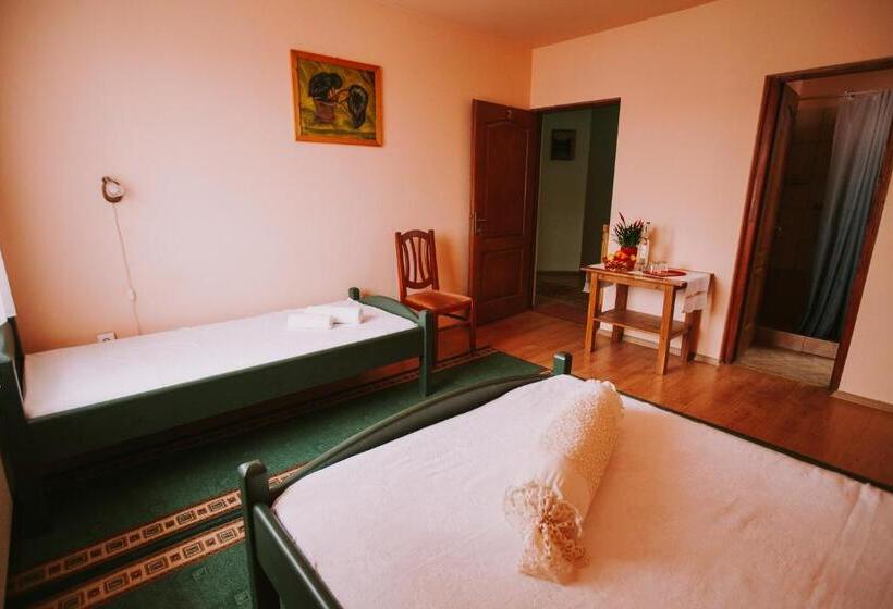 تختخواب و صبحانه Bosnyák Panzió