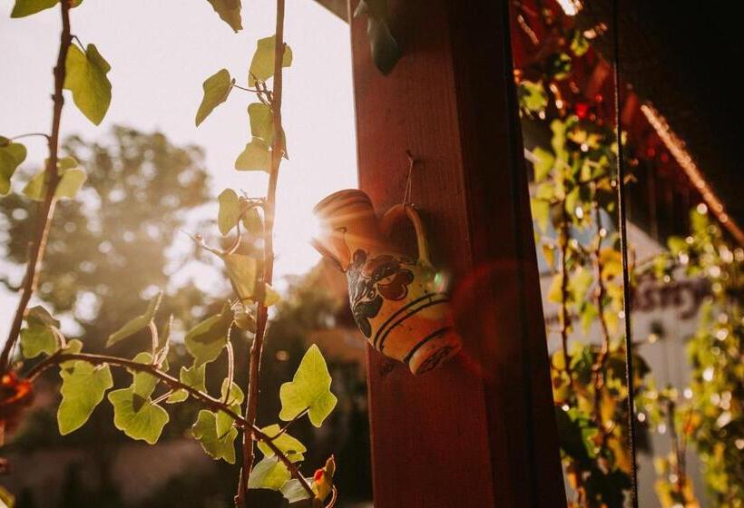 تختخواب و صبحانه Bosnyák Panzió