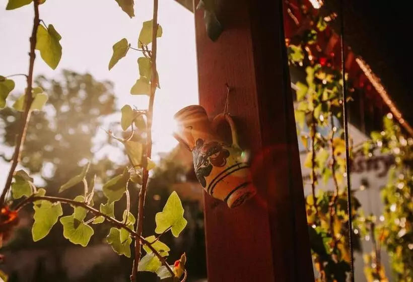 تختخواب و صبحانه Bosnyák Panzió