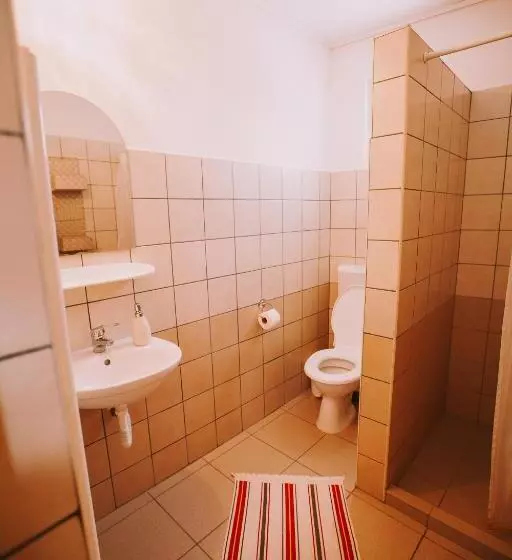 تختخواب و صبحانه Bosnyák Panzió