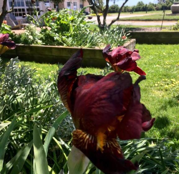 住宿加早餐  Cable Station Accommodation