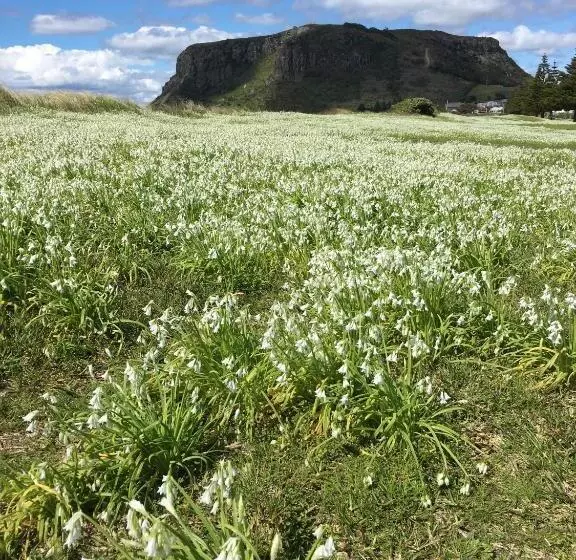 Aamiaismajoitus (B&B) Cable Station Accommodation